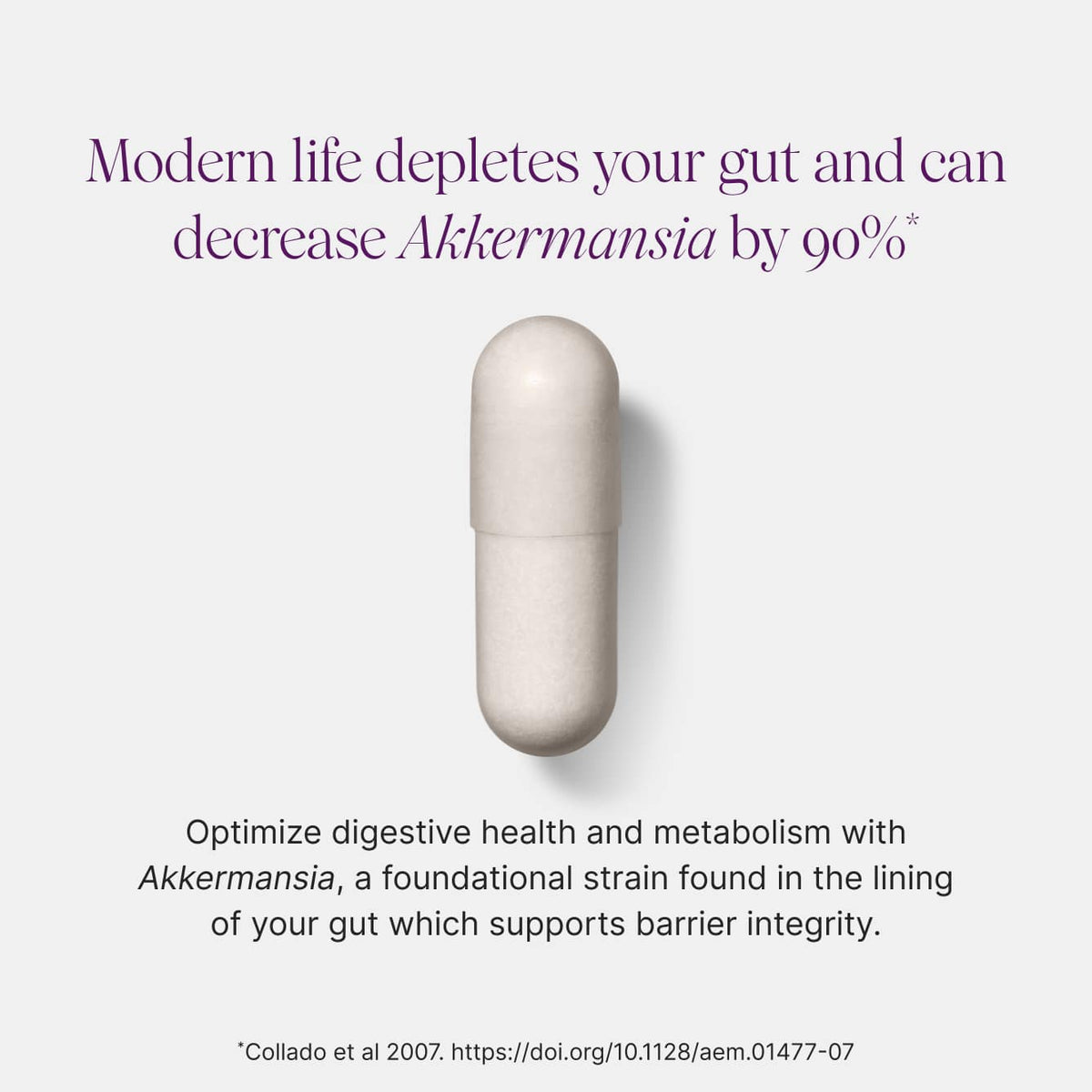 Live Akkermansia Probiotic for Gut Health Support