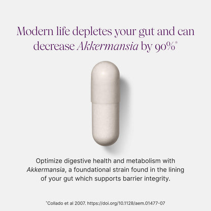 Live Akkermansia Probiotic for Gut Health Support