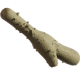 Bifidobacterium lactis