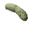 Clostridium butyricum